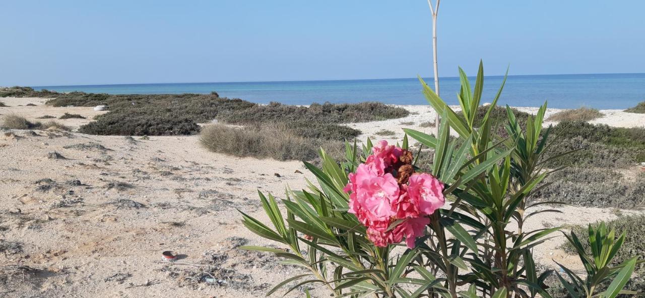 Bed and Breakfast Dar Chick Yahia Ile De Djerba Mezrane Екстер'єр фото